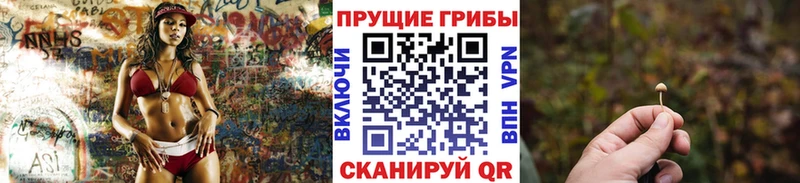 Псилоцибиновые грибы мухоморы что такое Южно-Сахалинск
